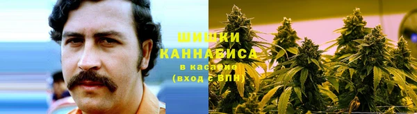 apvp Аркадак
