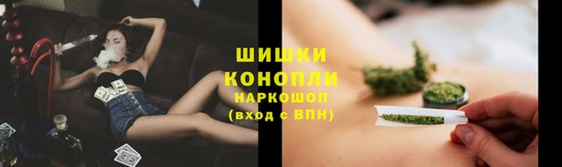 apvp Аркадак