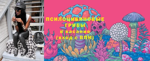 apvp Аркадак