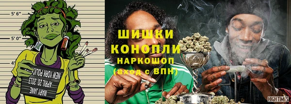 apvp Аркадак