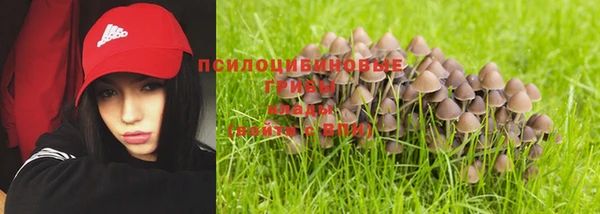 apvp Аркадак