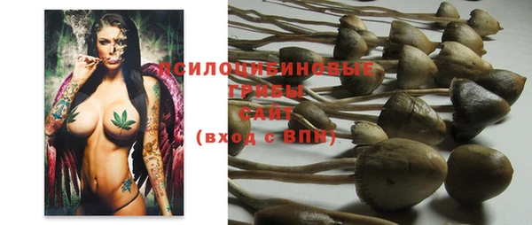 jwh Пересвет