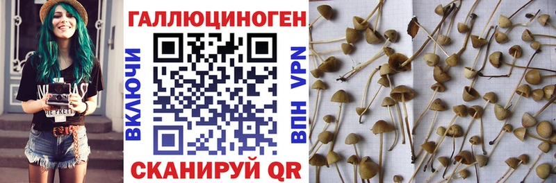Галлюциногенные грибы прущие грибы  blacksprut ссылка  Певек  как найти закладки 